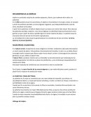 METAMORFOSIS DE LA PUBERTAD