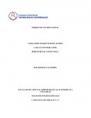 FACULTAD DE CIENCIAS ADMINISTRATIVAS, ECONOMICAS Y CONTABLES. Marketing internacional.
