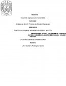 Análisis del libro El Príncipe de Nicolás Maquiavelo