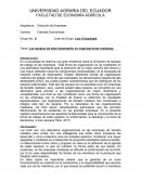 Los equipos de altos desempeño en organizaciones medianas.