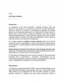 Las pymes en Mexico.