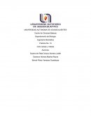 Practica No. 10 Ciclo celular y mitosis