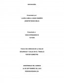 Sociología y Salud Ocupacional