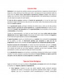 Ciclo de Vida de los Seres Vivos y del Hombre