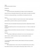 Personas jóvenes adictas al internet.