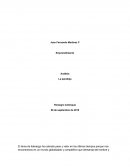 Paradoja Libro Ensayo.