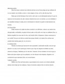 PENSAMIENTO CREATIVO. Ensayo personal.