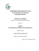 EL ENTORNO DE LA EMPRESA CASO PYMES EN B.C.S