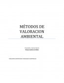 METODOS DE VALORACION AMBIENTAL. En la actualidad se manejan numerosos métodos y procedimientos que se encargan de evaluar el impacto ambiental