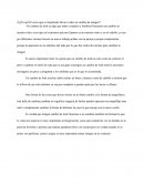 ¿Por qué crees que es importante llevar a cabo un cambio de imagen?