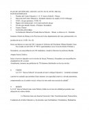 PLAN DE GESTIÓN DEL USO DE LAS TIC EN EL NIVEL INICIAL