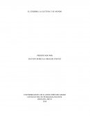 EL CEREBRO, LA LECTURA Y SU MUNDO