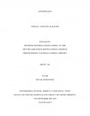 Conceptualzacion sobre antropologia.