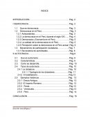 Democracia y Autocracia: ciertos aspectos informativos