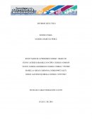 Informe ejecutivo. El presente informe muestra la oportunidad de crear un restaurante vegetariano llamado “gourmet vegetarían food” en el barrio Ciudad jardín de Cali,