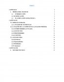 L presente proyecto consiste en la realización de actividades que limitan el tiempo y recurso, así como consideraciones de costos por lo que deberá culminarse dentro de un tiempo y al menor costo.