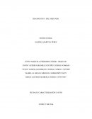 DIAGNOSTICO DEL MERCADO