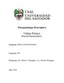 Psicopatologia parcial.