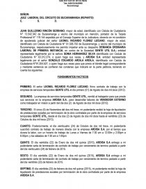 Modelo demanda laboral solidaridad entre empleadores - Trabajos - milena2402