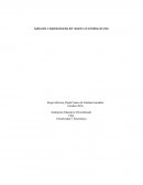 Aplicación e implementación del vúmetro en la bobina de tesla.