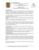 PRÁCTICA No. 4 PREPARACIÓN DE MEDIOS DE CULTIVO