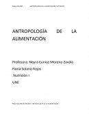 CONCLUSIÓN SOBRE LA EVOLUCIÓN DE LA ALIMENTACIÓN EN MÉXICO