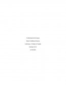 Liderazgo y Trabajo en Equipo.Etapas