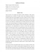 Conceptos del delito informático.