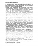 TEMA- DEFINISIÓN DEL PROYECTO.