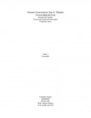 Tema- Administración estratégica.