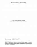 Caso ANALISIS, IMPLEMENTACION Y DESARROLLO DE UN PLAN ESTRATEGICO