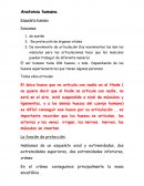 Anatomia humana columna vertebral.