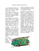 EL GRAFITI: UN NUEVO ESTILO DE VIDA..