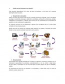 El Almacen. ¿Cuáles son las funciones de un almacén