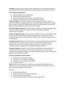 Conjunto de metas, objetivos, planes y programas, así como la asignación oportuna, eficaz y eficiente de recursos, para alcanzar una ventaja competitiva sustentable en el tiempo.