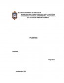 Generalidades de los puentes.