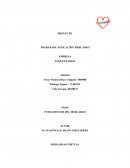 TRABAJO DE APLICACIÓN MERCADEO EMPRESA PAQUETEAMOS