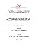 PROYECTO DE INVESTIGACIÓN PARA OPTAR EL TÍTULO DE CONTADOR PÚBLICO.
