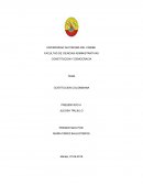 TEMA - COSTITUCION COLOMBIANA