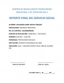 CENTRO DE BACHILLERATO TECNOLÓGICO INDUSTRIAL Y DE SERVICIOS NO.4 REPORTE FINAL DEL SERVICIO SOCIAL