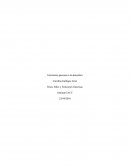 Emisiones gaseosas a la atmosfera