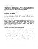 Analisis de una empresa. Stark zimmer es una mediana empresa