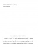 DESPENALIZAR EL USO DE LA MARIHUANA