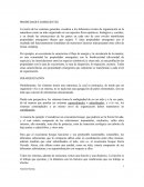 PROPIEDADES EMERGENTES