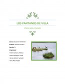 LOS PANTANOS DE VILLA.