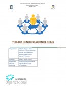 Las intervenciones en el Desarrollo Organizacional.