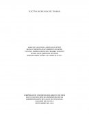 Actividad Las organizaciones y el entorno global