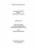 TRABAJO FINAL ADMINISTRACION II ORGANIZACIÓN Y DIRECCION