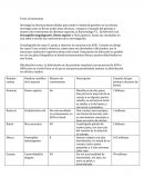 Tarea Cromosomas