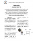 Termoquimica Departamento de Química, Facultad de Ciencias, Universidad Católica del Norte,